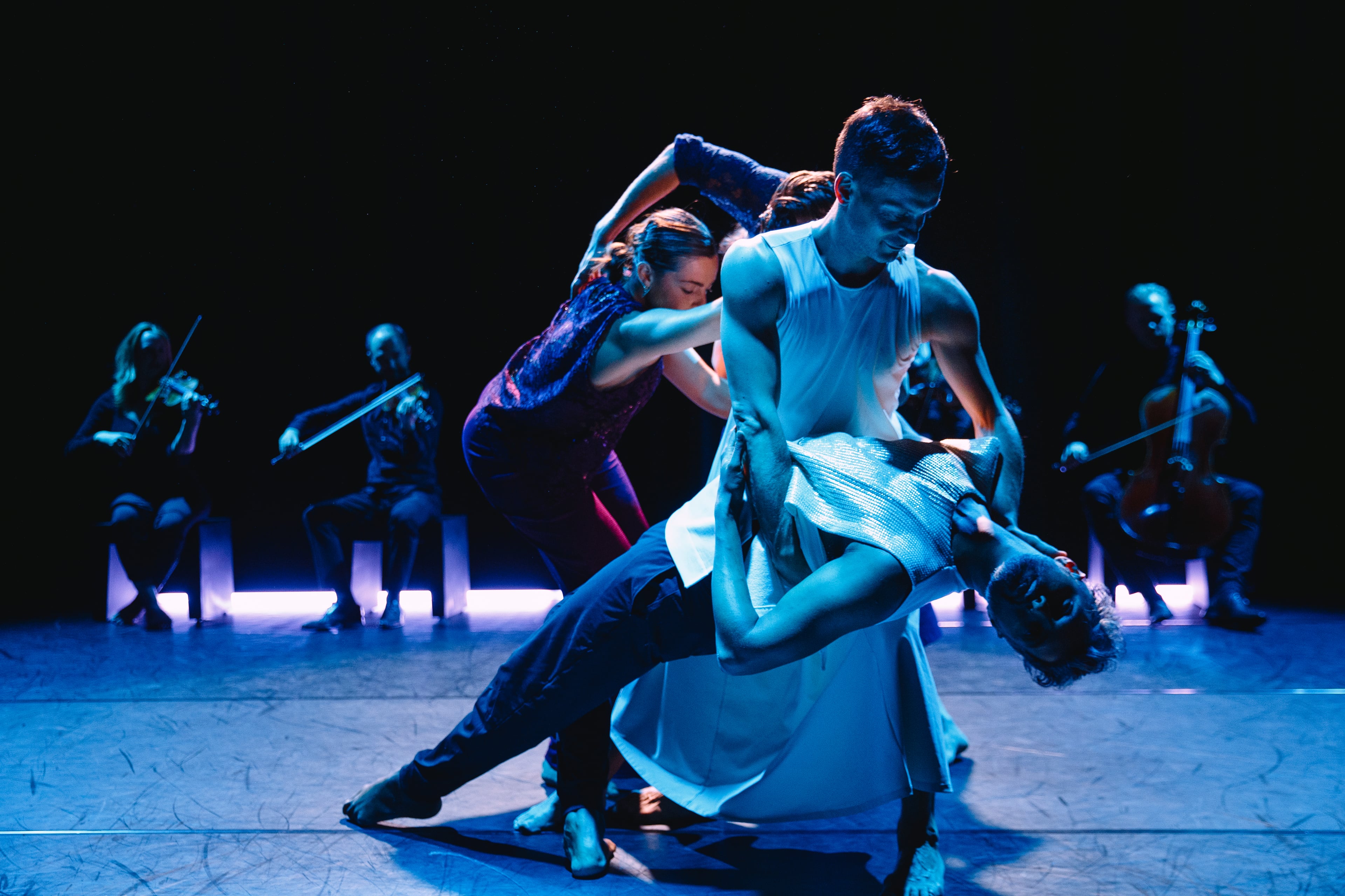 Foreign performances or concerts in the Netherlands